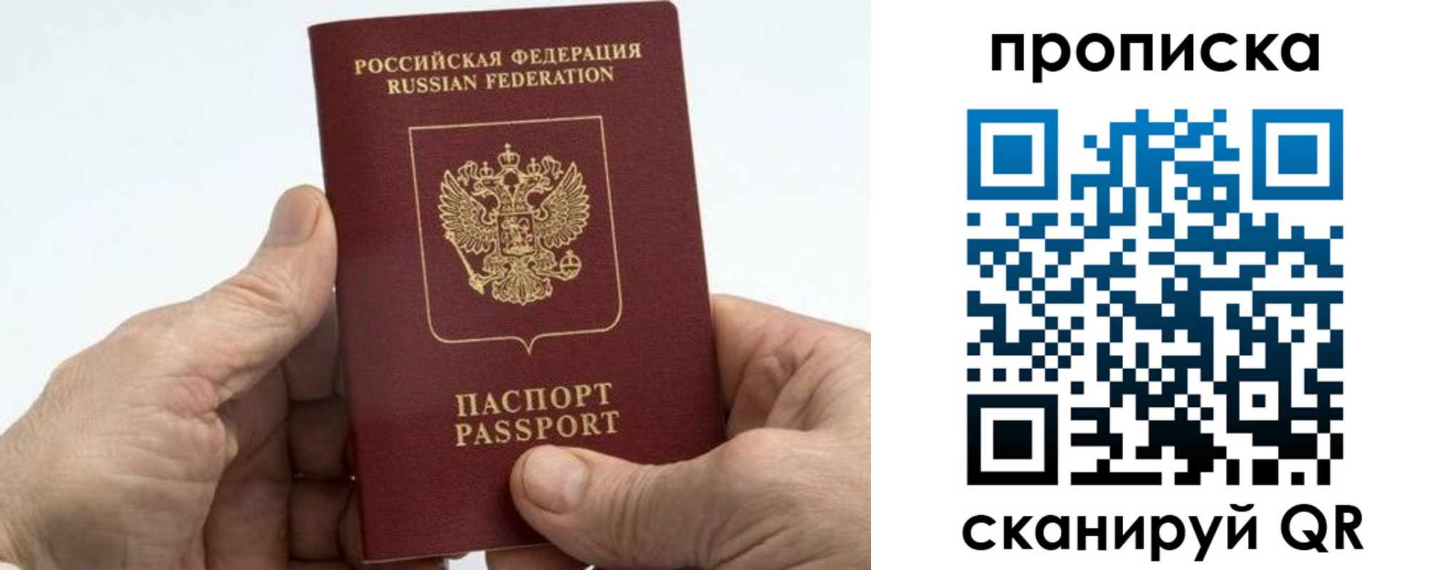 временная регистрация надежно в Елизово