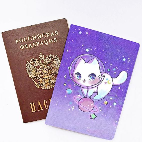 прописка в Елизово